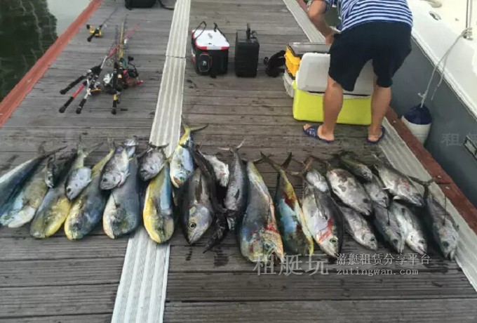 三亞海釣?zāi)康牡赝扑]，租艘釣魚艇去海釣吧！
